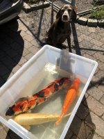IMG_9087.jpeg