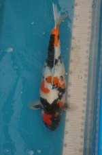 DSC_0021.JPG