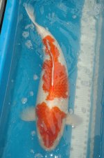 DSC_0074.JPG