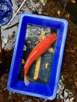 IMG_5791.jpeg