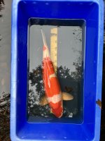 IMG_5798.jpeg