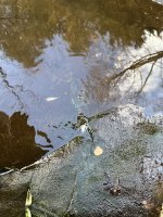 IMG_6883.jpeg