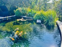 IMG_8373.jpeg